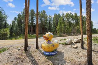 The Duck House home - 8