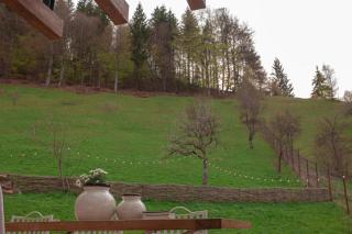 Pension Conacul Vanatorului - 1