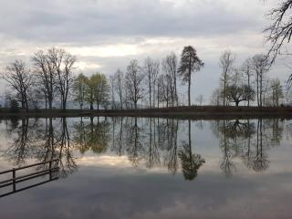 Nice apartment with sun terrace - 5