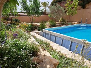Desert Rose - Midreshet Ben Gurion - 8