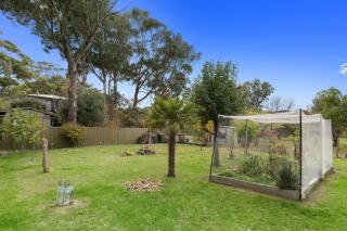 Magnolia - Apollo Bay - 1