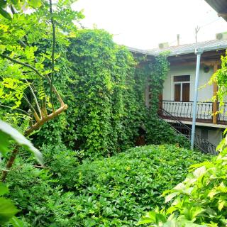 Hotel Botanical - 0