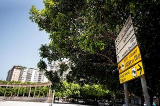 Casa di Dada - statua - 9