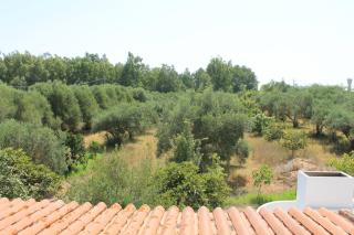 Domu de Campu - Pabillonis - 7