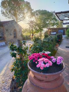 Azienda Agricola Polveraia - San Gimignano - 3