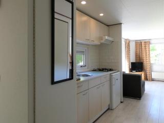 Chalet nr 8 op Bospark Trimunt - Welsum - 2