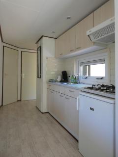 Chalet nr 8 op Bospark Trimunt - Welsum - 1