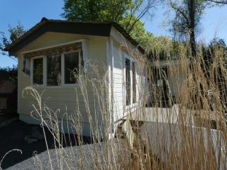 Chalet nr 8 op Bospark Trimunt - Welsum - 7