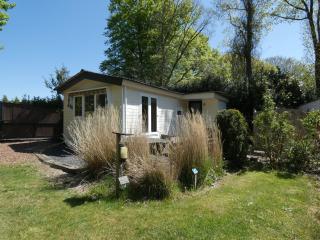 Chalet nr 8 op Bospark Trimunt - Welsum - 9
