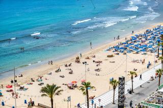 Carabelas I 10-6 - Benidorm - 7