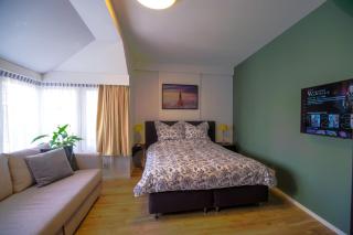 Unique Courtyard House with Sauna in Alkmaar city center - Alkmaar - 9