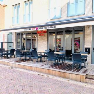 DRL08 Luxury apartment with sauna in centre - Domburg - 9