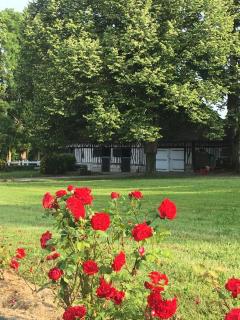 La Gloriette gîte situé Dans La propriété Dun magnifique manoir - Vatteville-la-Rue - 9