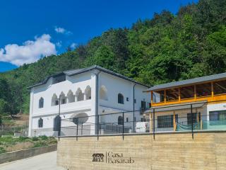 Casa Basarab - Călimăneşti - 3