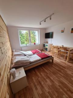 Apartamenty Willa NaSkarpie Jacuzzi Sauna Basen - Wisła - 6