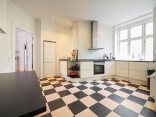 Spacious apartment in the heart of Copenhagen - Copenhaga - 4