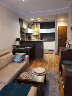 Apartament MODERNA Francuska Park - Katowice - 7