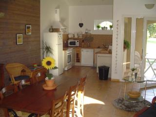 Gîte La Tourasse Les Tournesols - Lamasquère - 7