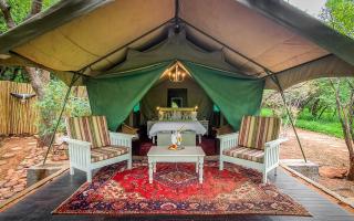 Khaya Ndlovu Safari Manor - 3