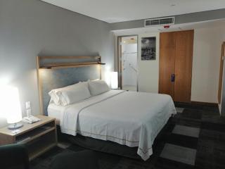 Holiday Inn Express Mexico Reforma by IHG - Città del Messico - 2