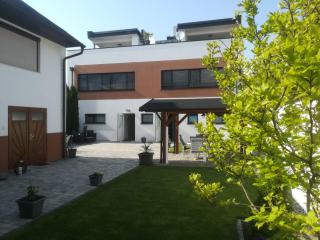 PENTHOUSE Griemann 2 für max 4 Personen mit eigener großer Dachterrasse zum Relaxen! - Illmitz - 3