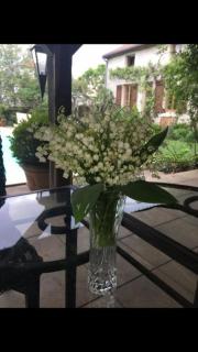 Bulles & Bubbles... - 5