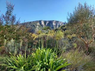 Gîte en Cévennes du sud, bergerie restaurée au rez de jardin d'une bastide avec piscine, vue exceptionnelle, authenticité et confort - Saint-Laurent-le-Minier - 5