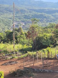 Apartamento da Cintia - 7