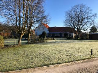 Horse and Hound - Riethoven - 3