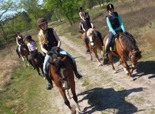 Horsetellerie Rheezerveen - Hardenberg - 8