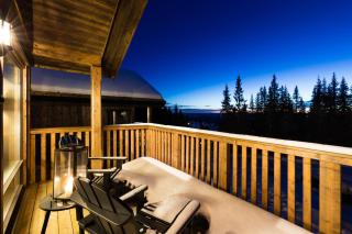 Cozy modern holiday villa with electric car charging, sauna and fireplace - Øyer - 3