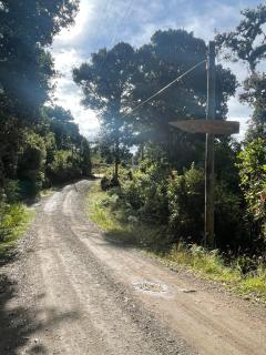La Bromelia/Cabaña de Montaña, Cerro de la Muerte. - 7