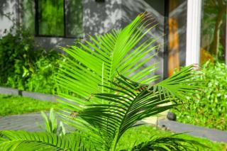 BlueGreens Accommodation - 7