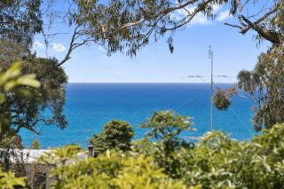 Avirgonia - Lorne - 8