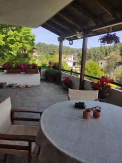 Cozy Villa in the woods next to the sea , 7 sleeps - Elani - 5