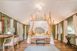 Leopard Safaris Yala - 0