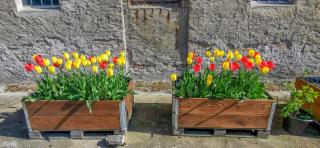 Apartment in Herrenhaus Groß Pinnow - 2