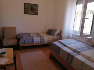 Apartman Park - Banja Koviljača - 2