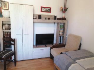 Apartman Park - Banja Koviljača - 1