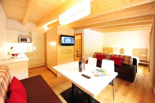AlpeLux Appartement an der Skipiste - Jerzens - 5