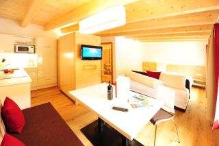 AlpeLux Appartement an der Skipiste - Jerzens - 1