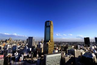 Cerulean Tower Tokyu Hotel, A Pan Pacific Partner Hotel - Tokyo - 8