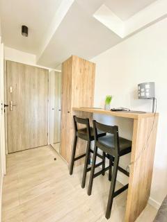 BP Apartment VI - Toruń - 3