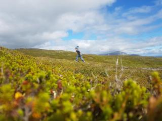 Renfjällsgården - Edsåsdalen - 7