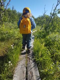 Renfjällsgården - 5