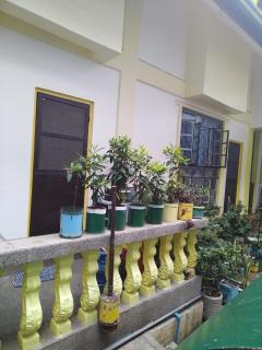 Zeb's Transient House and Tour - Baguio - 7