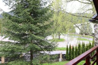 Vila Pinul si Mesteacanul - 4