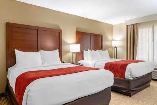 Comfort Inn & Suites Macon North I-75 - Macon - 2