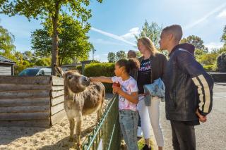 EuroParcs Molengroet - Noord-Scharwoude - 2