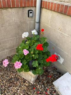 EVASION DE LOIRE - 7